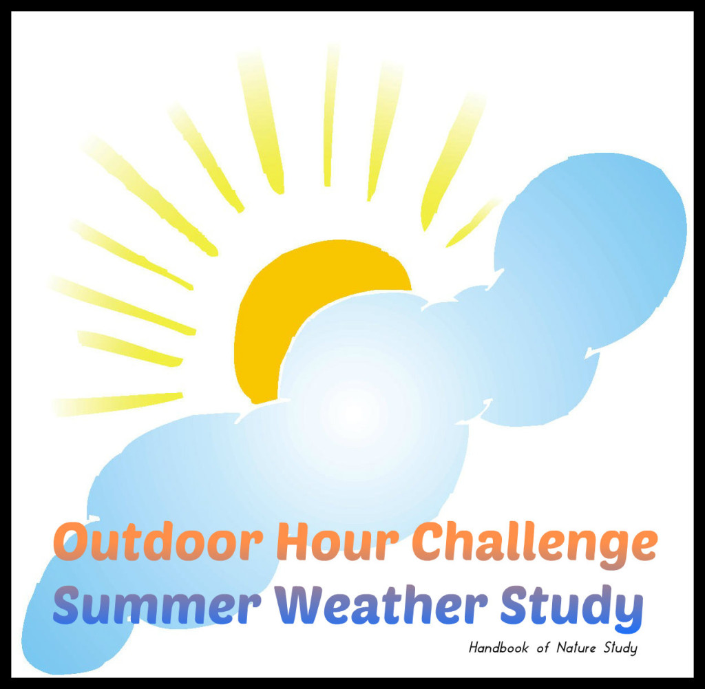 Outdoor Hour Challenge Summer Weather @handbookofnaturestudy
