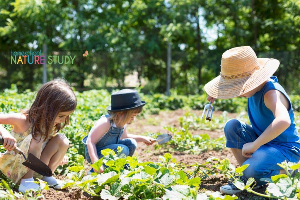 Gardening Projects for Kids is more than a "how to" garden book. It encourages a gardening way of life – in your backyard working and playing together.