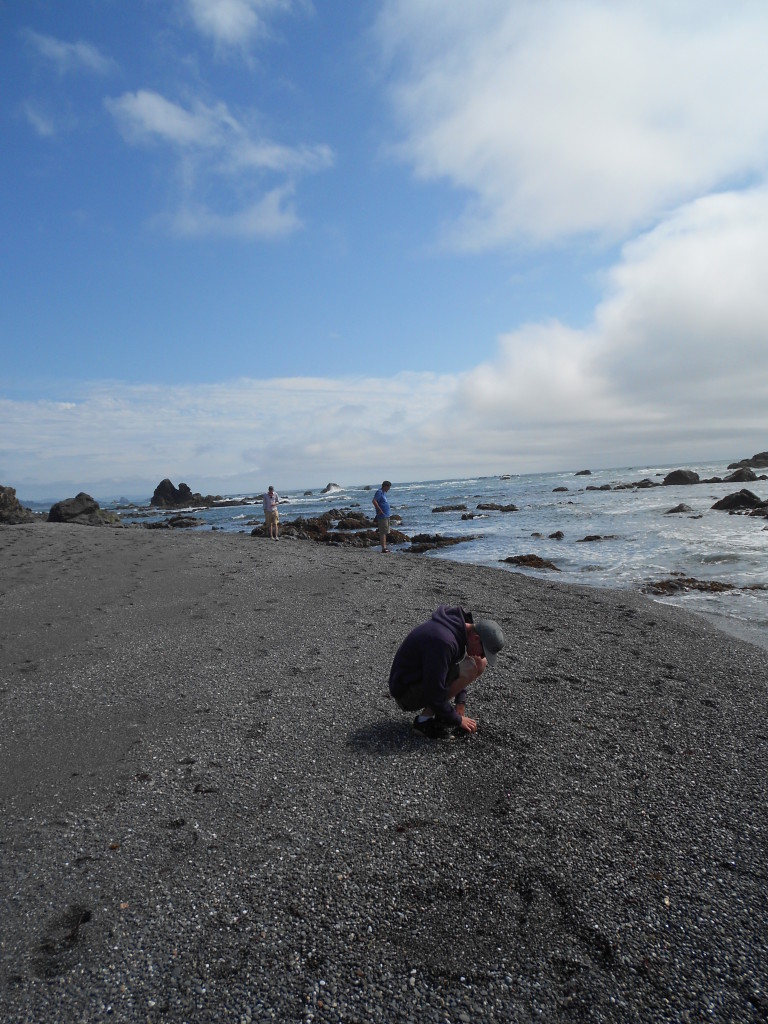 McVay Rock tidepools and rocks (6)