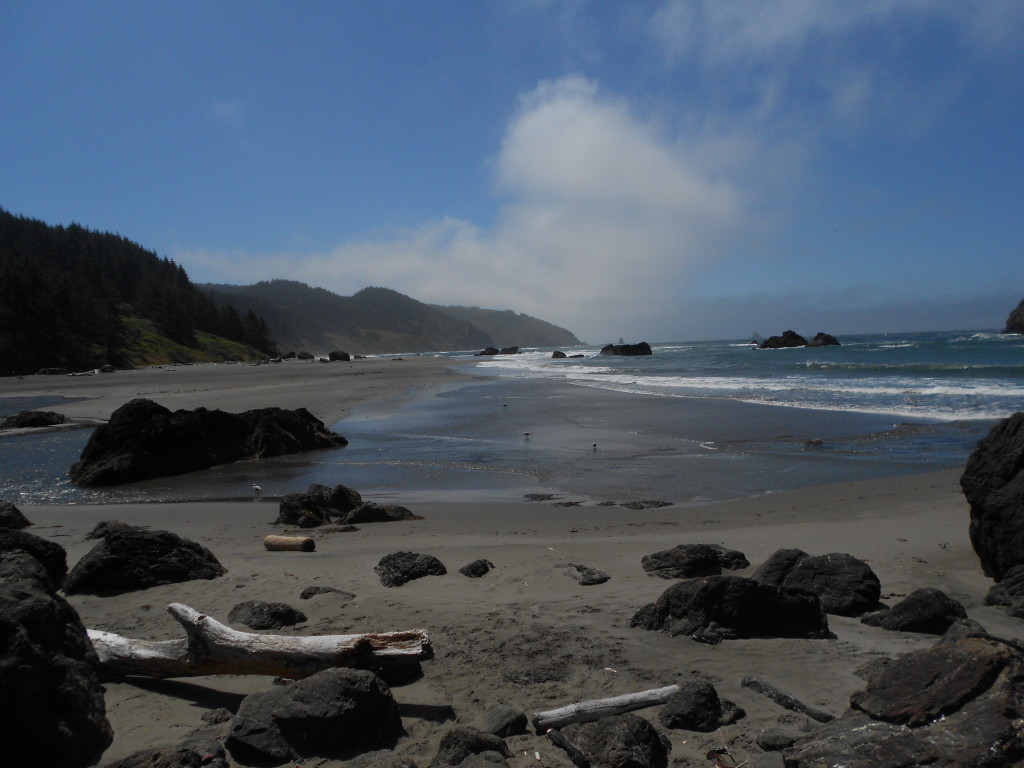 Whaleshead Beach (16)