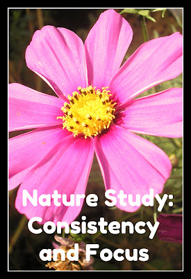 Nature+Study+Consistency+and+Focus+button.jpg