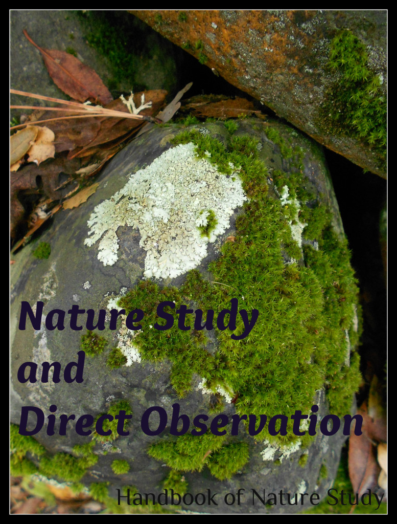 Nature Study Direct Observation @HBNatureStudy