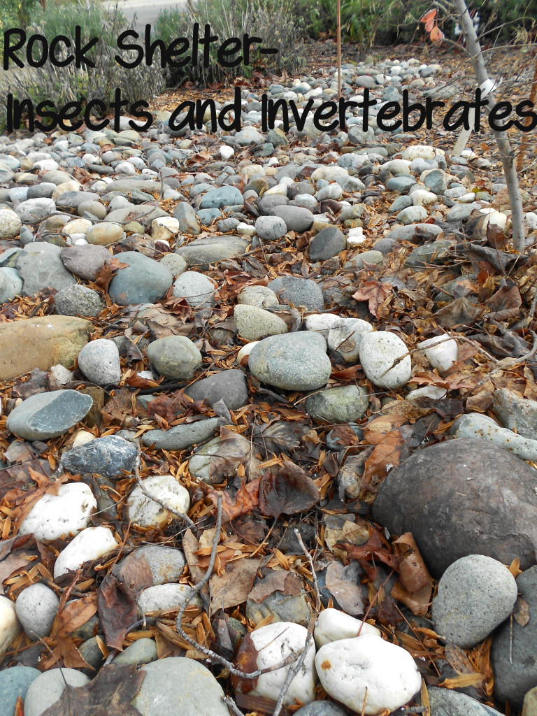 Rock Shelter for insects and invertebrates @HBNatureStudy