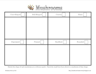 Mushroom+Cap+Sketch+Notebook+Page.jpg
