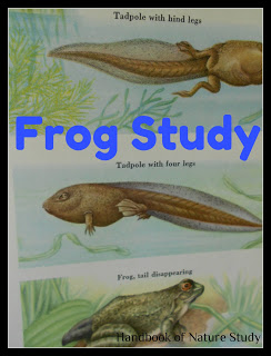 Frog+Nature+Study+@handbookofnaturestudy.blogspot.com.jpg