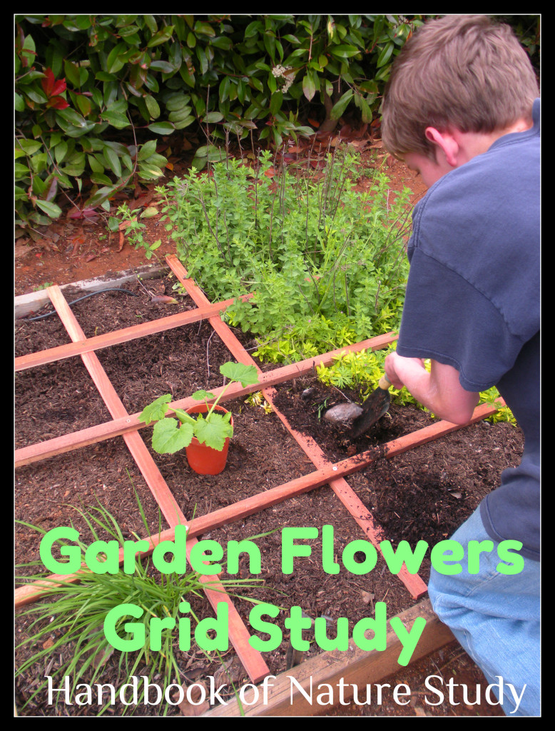 Garden Flowers Grid Nature Study @handbookofnaturestudy.blogspot.com