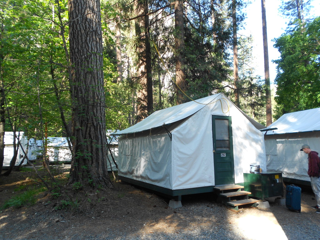 Yosemite Curry Village Tent Cabin