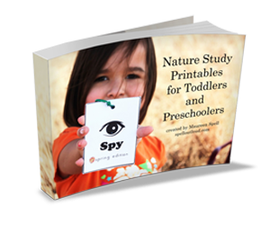 Preschool Nature Study 300x250