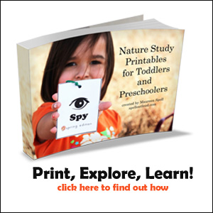 Nature Study Printables for Preschoolers and Toddlers