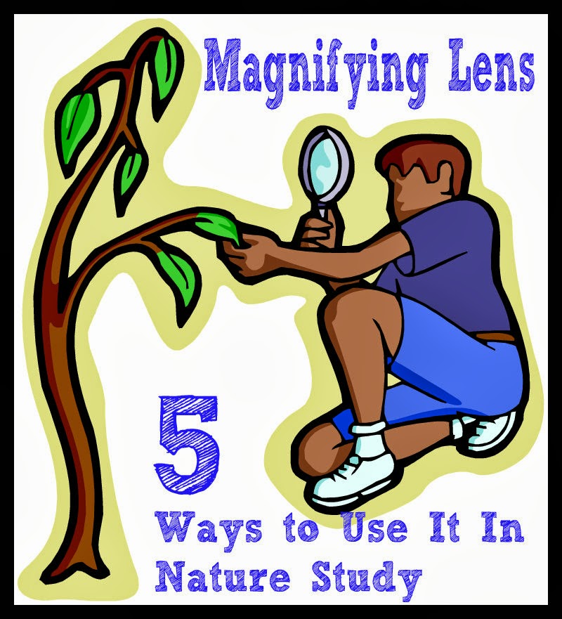 Magnifying+Lens+in+Nature+Study+@handbookofnaturestudy.blogspot.com.jpg