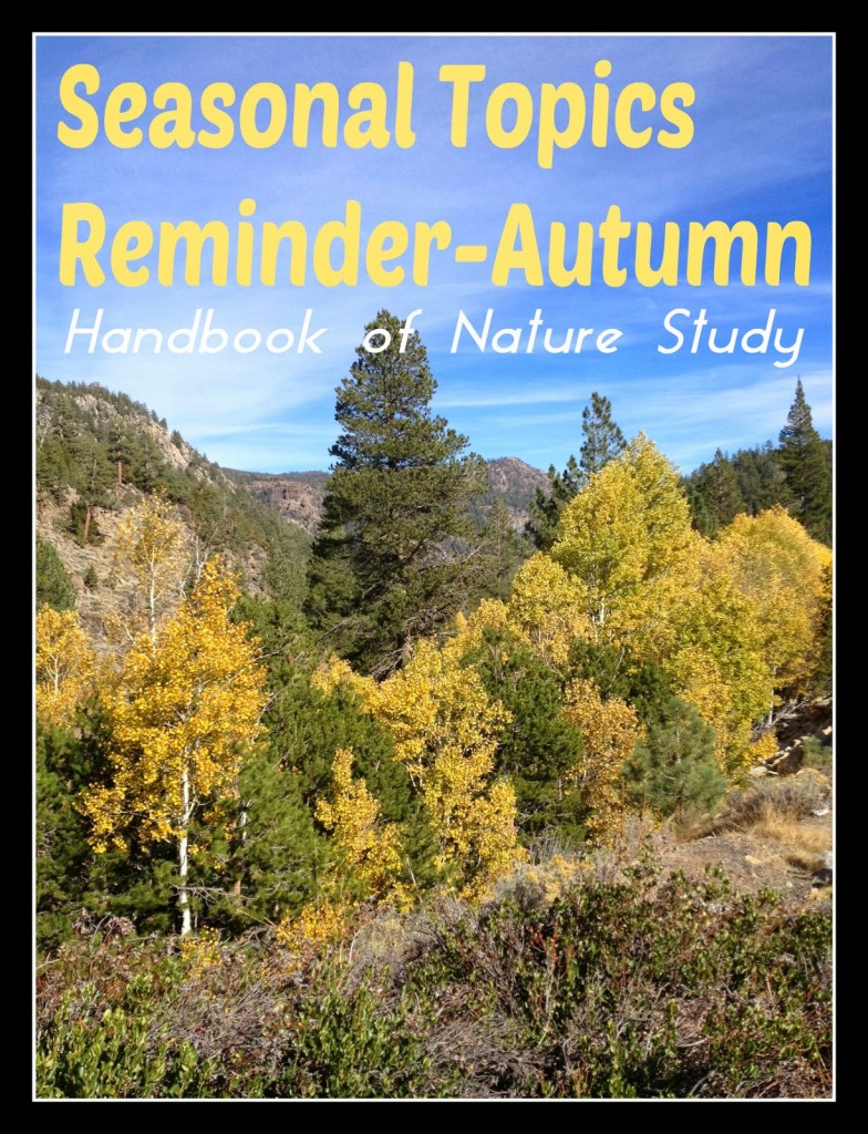 Seasonal+Topics+Reminder+-+Autumn+@handbookofnaturestudy.blogspot.com.jpg