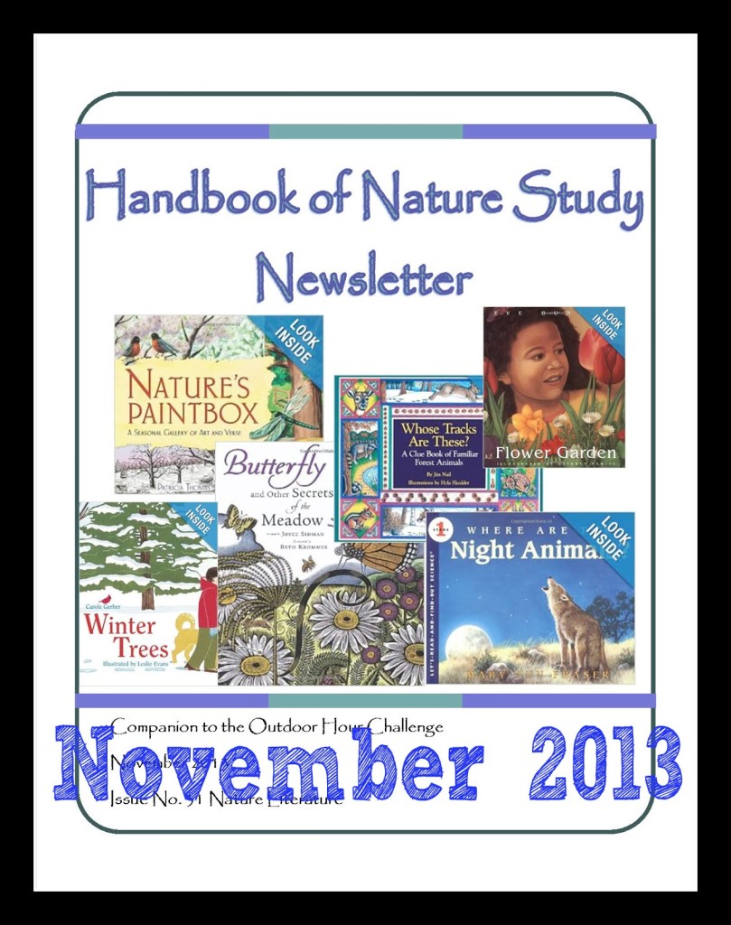 Handbook+of+Nature+Study+Newsletter+November+2013+Cover+Button.jpg