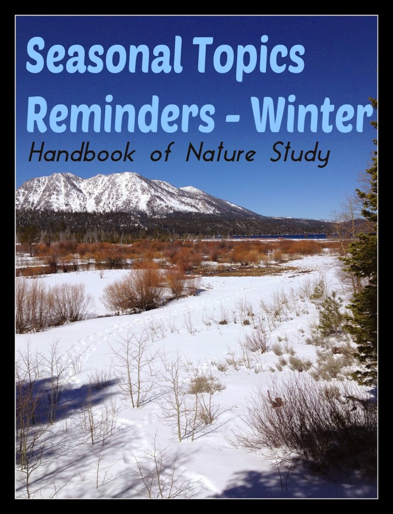 Seasonal+Topics+Reminders+Winter+@handbookofnaturestudy.blogspot.com.jpg