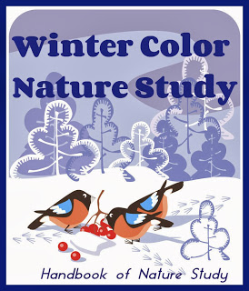 Winter Color Nature Study