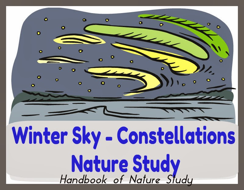 Winter+Sky+Nature+Study+@handbookofnaturestudy.blogspot.com.jpg