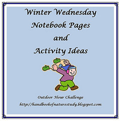 https://naturestudyhomeschool.com/2011/01/winter-wednesday-outdoor-hour-challenge.html