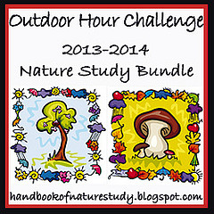 Nature Study Bundle Button