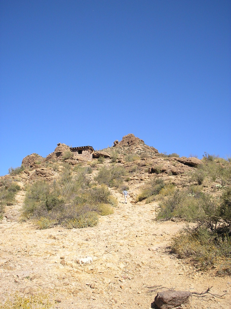 Saguaro National Park 9