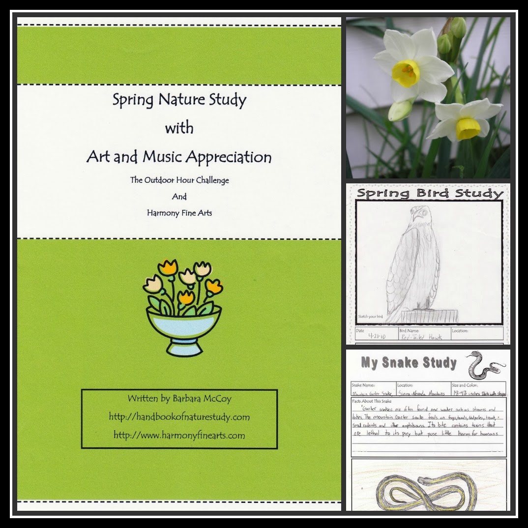 https://naturestudyhomeschool.com/2010/03/spring-nature-study-with-art-and-music.html
