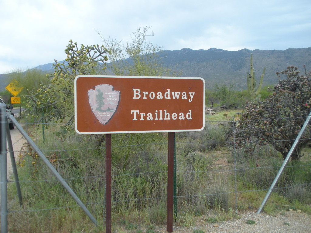 Saguaro National Park 2