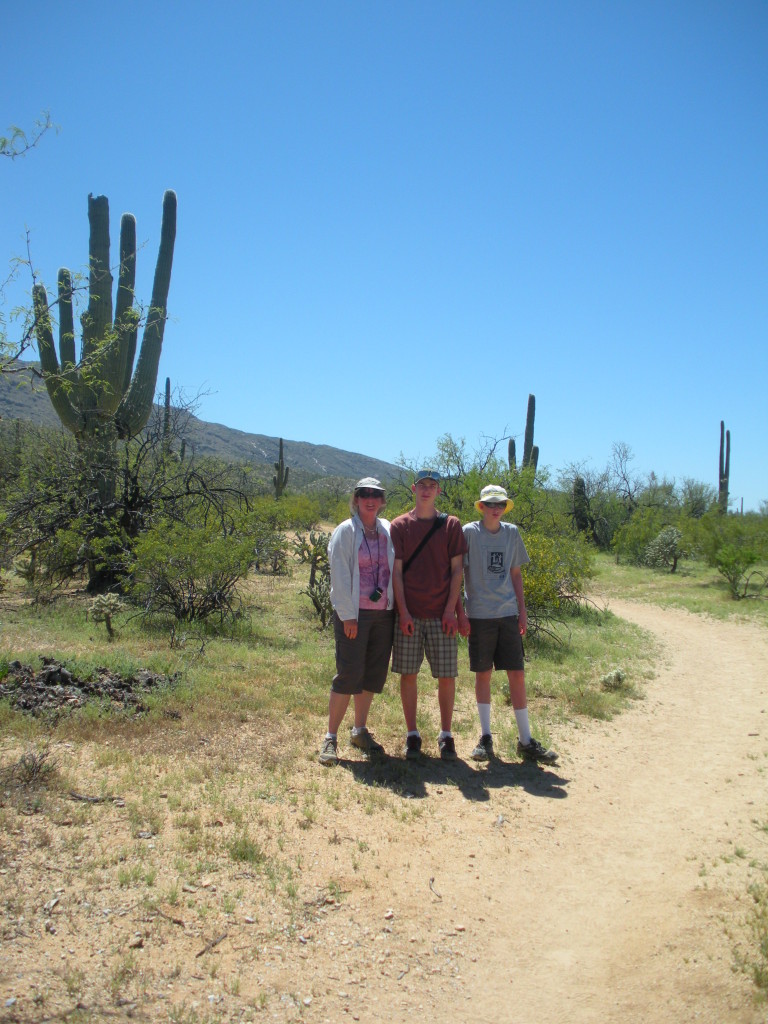 Saguaro National Park 3