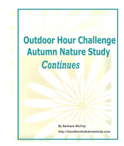 Autumn nature study continues cover 2d