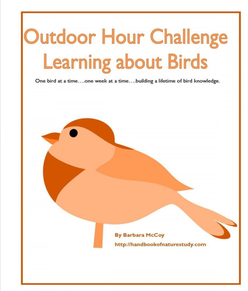 Learning About Birds Outdoor Hour Challenges