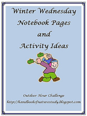 Winter Wednesday ebook NOtebook pages