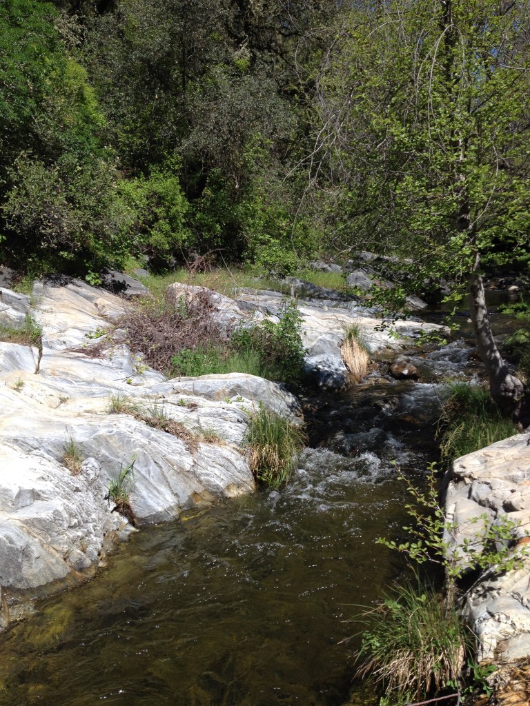 Coyote Creek Natural Bridge