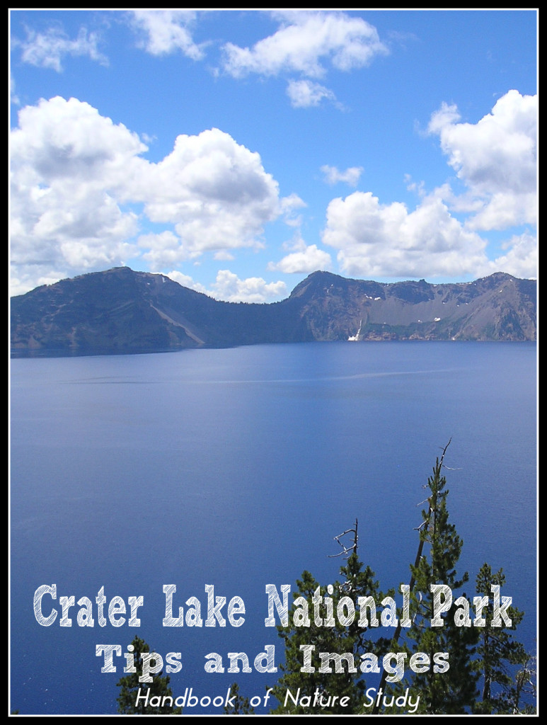 Crater-Lake-National-Park-Tips-and-Images-@handbookofnaturestudy