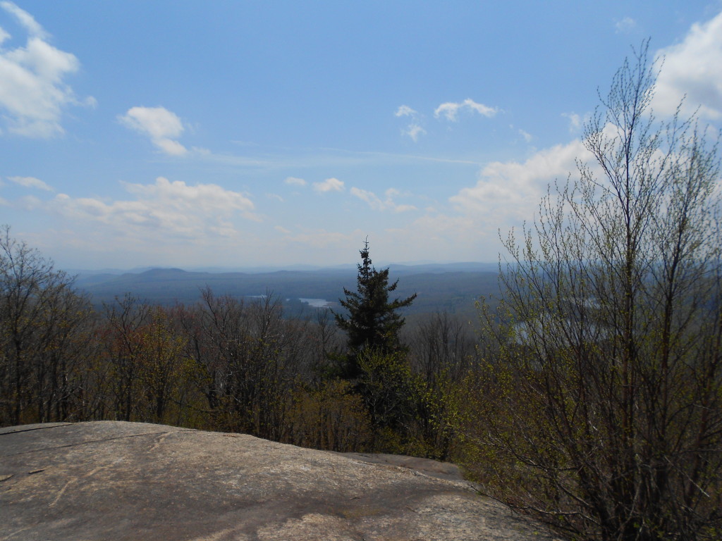 Mount Arab Adirondacks May 2014 (24)