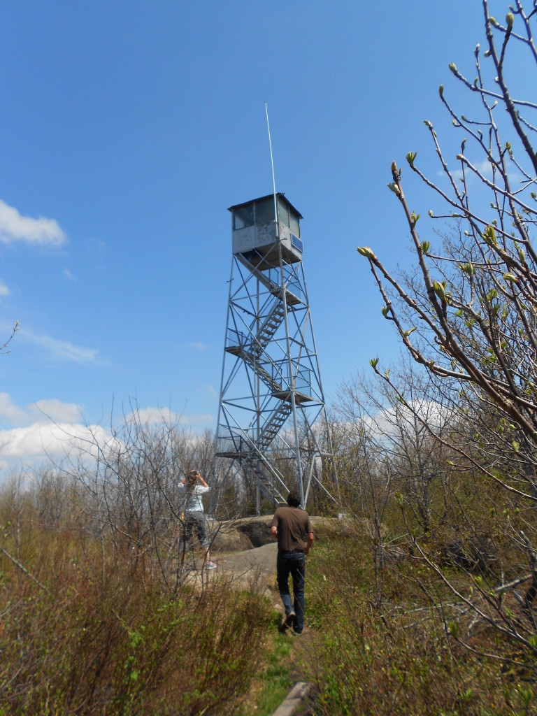 Mount Arab Adirondacks May 2014 (25