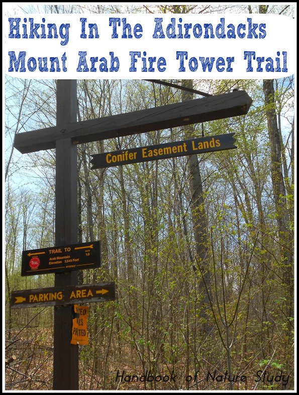 Mount-Arab-Adirondacks-May-2014