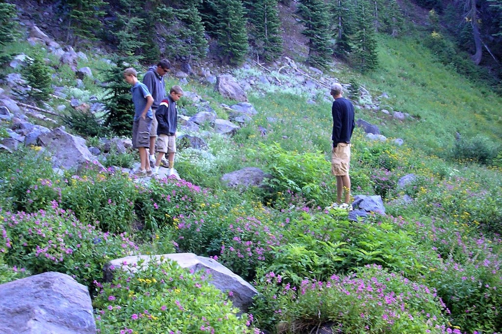 Crater Lake National Park Hike wildflowers