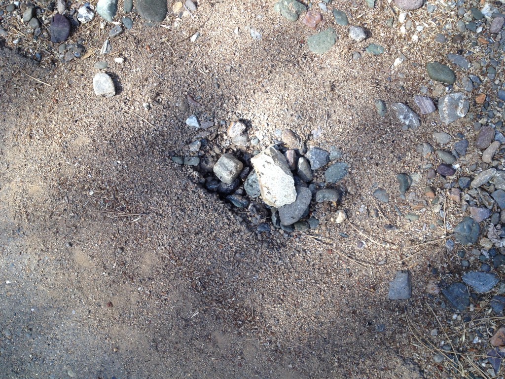 Ant colony dirt