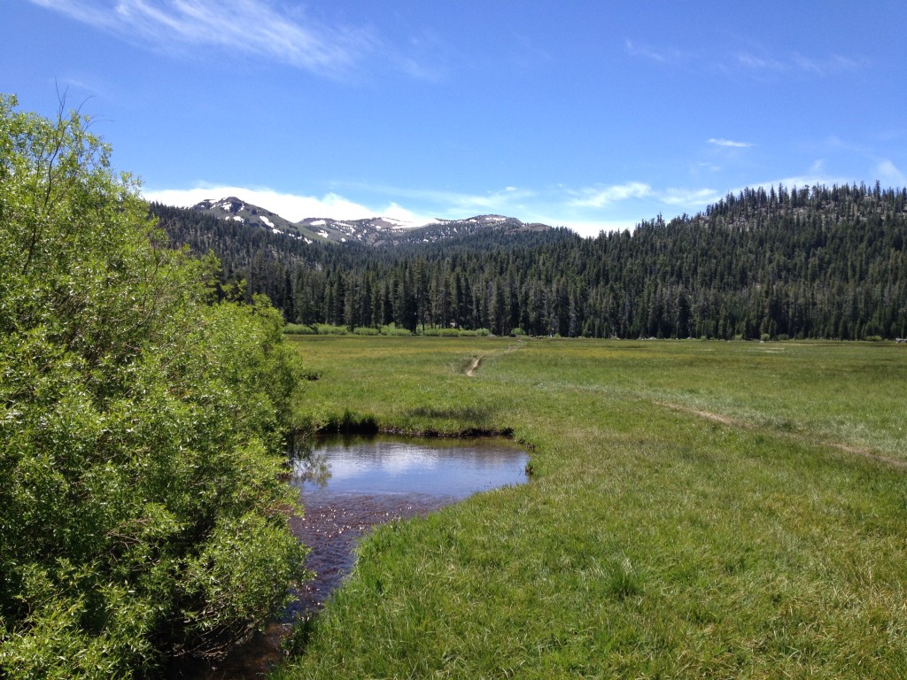 Round Lake June 2014 (8)