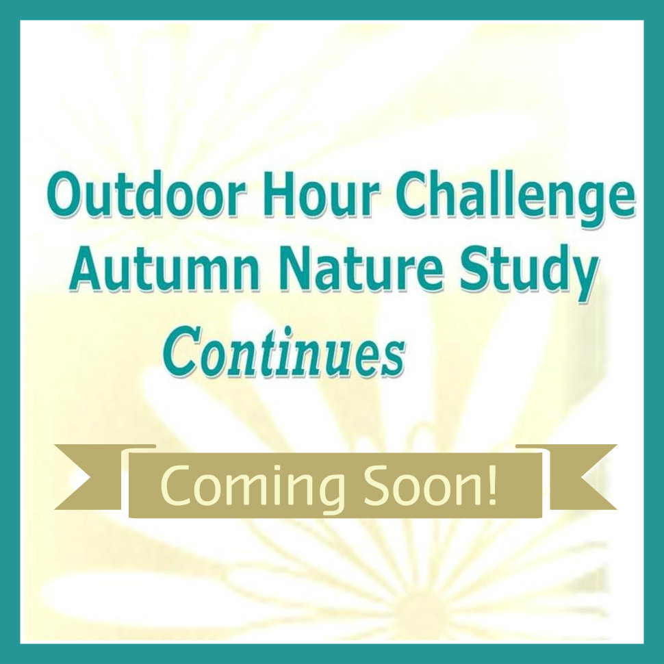 Autumn nature study Continues Button Coming Soon