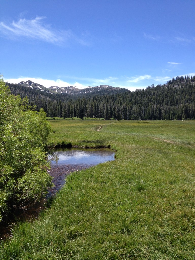 Big Meadow Tahoe Rim Trail