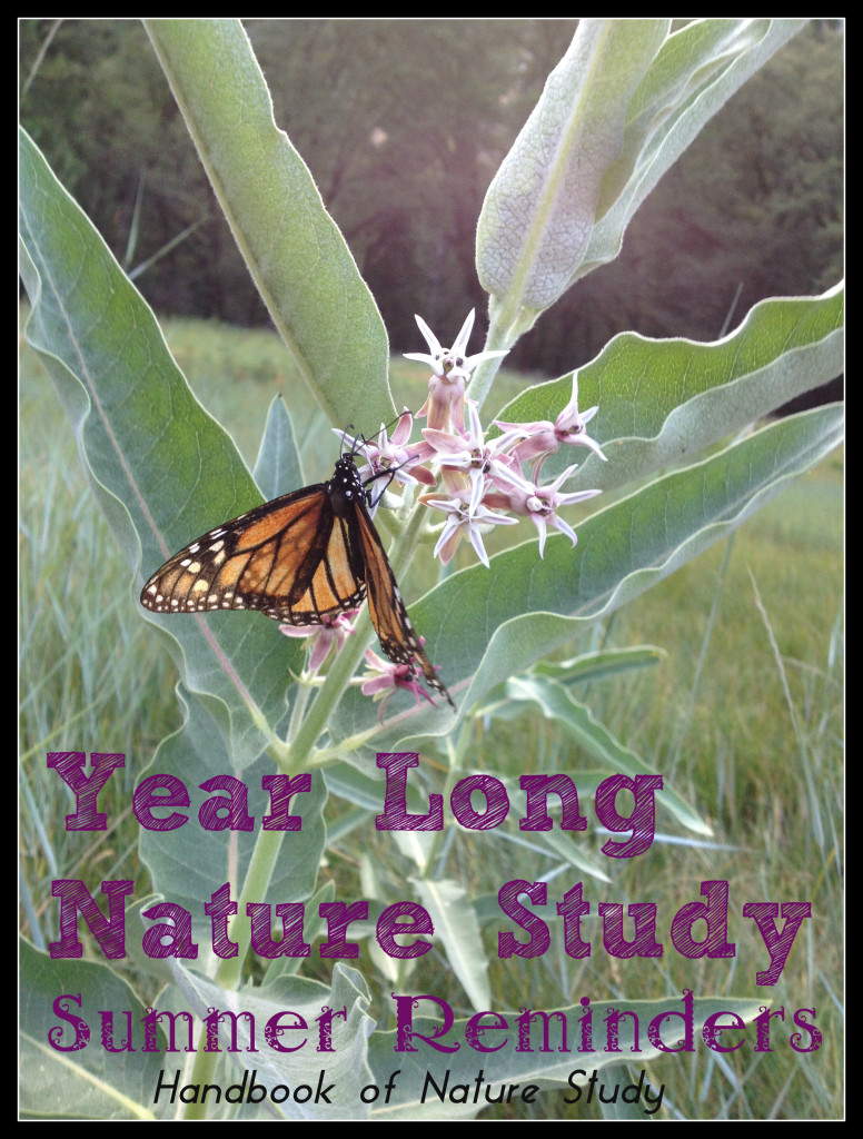 Year Long Nature Study Summer Reminders