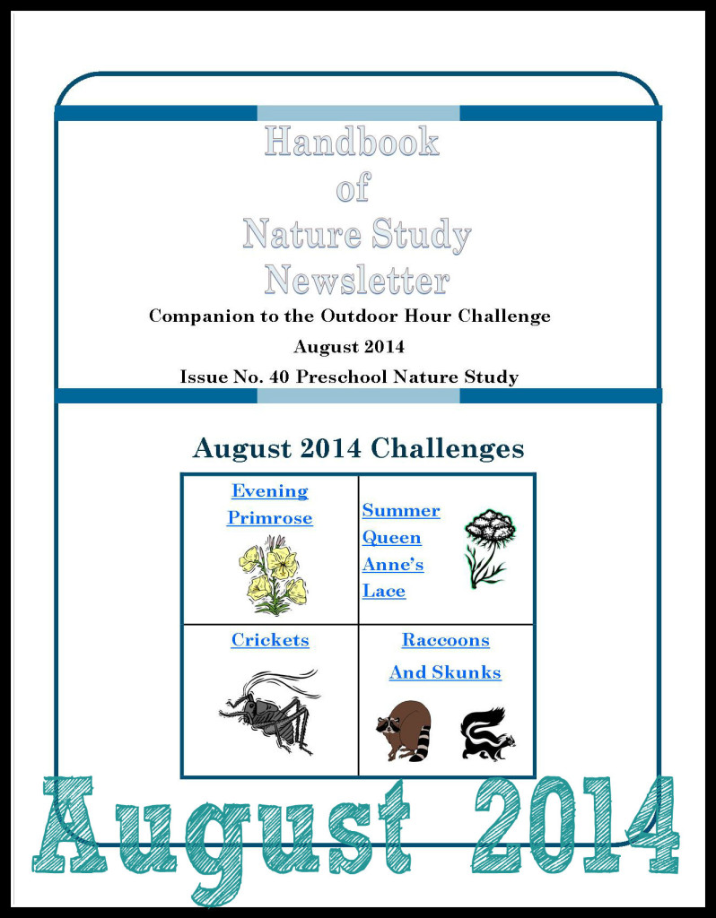 HNS Newsletter August 2014 Cover Button