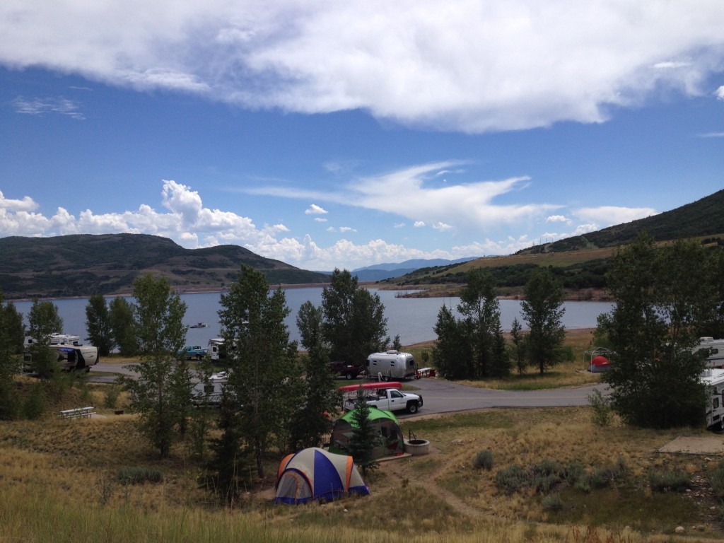 Jordanelle campsite and wildflowers (4)