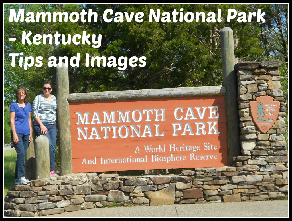 Mammoth Cave National Park Tips and Images @handbookofnaturestudy