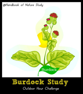 Budock Nature Study @handbookofnaturestudy
