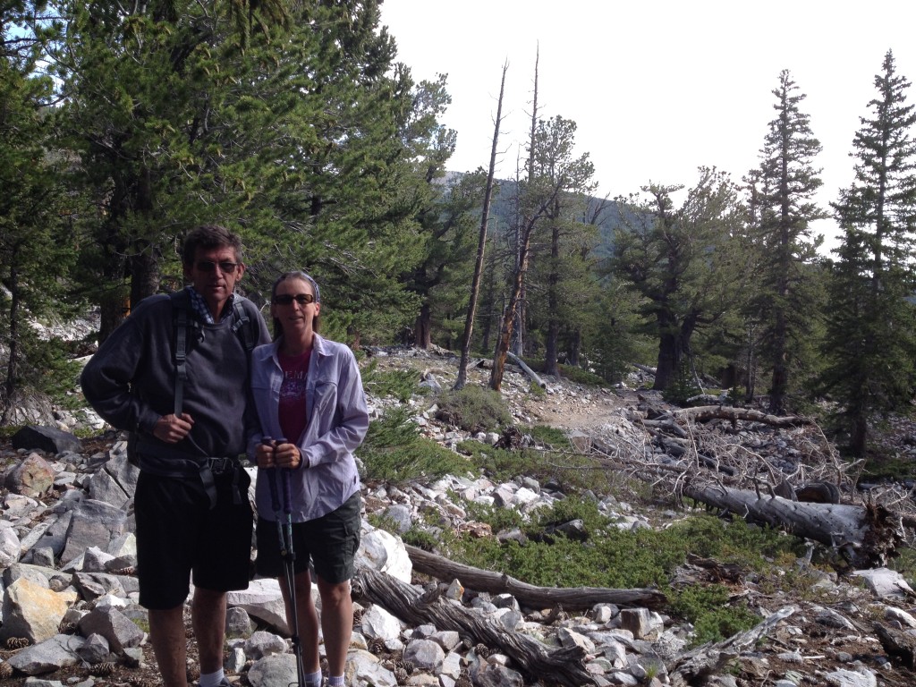 Great Basin  (24) Bristlecone Wheeler Peak hik