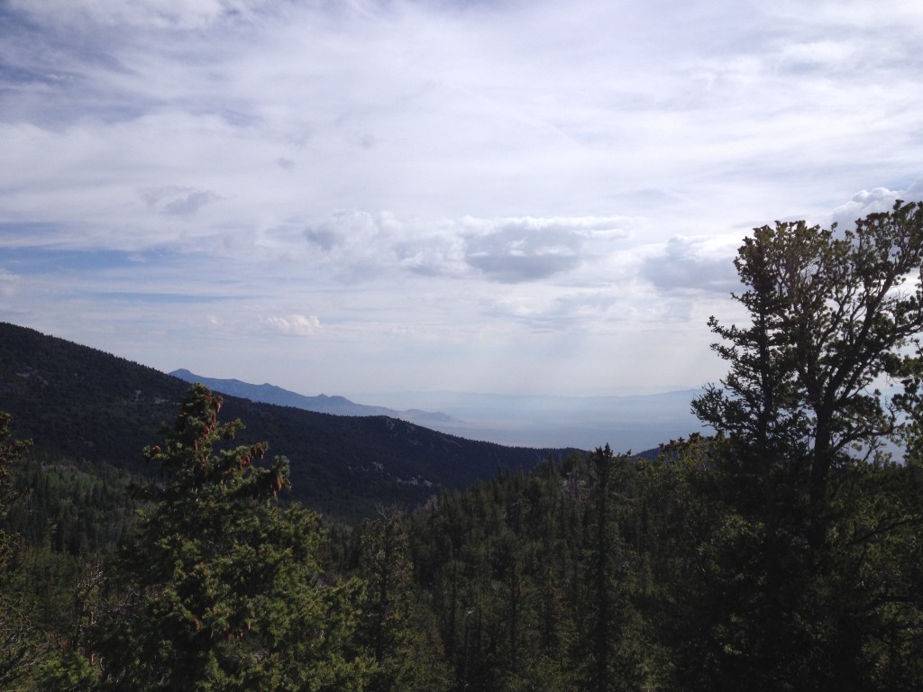 Great Basin  (25) Bristlecone Wheeler Peak hike