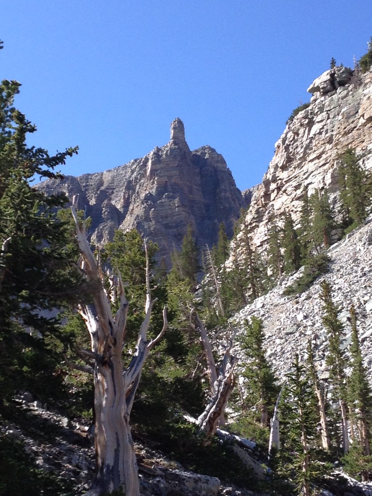 Bristlecone Trail Great Basin