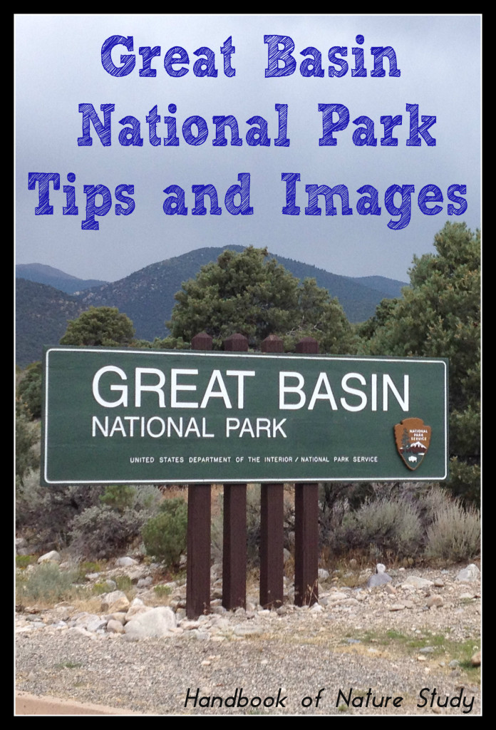 Great Basin National Park tips and images @handbookofnaturestudy