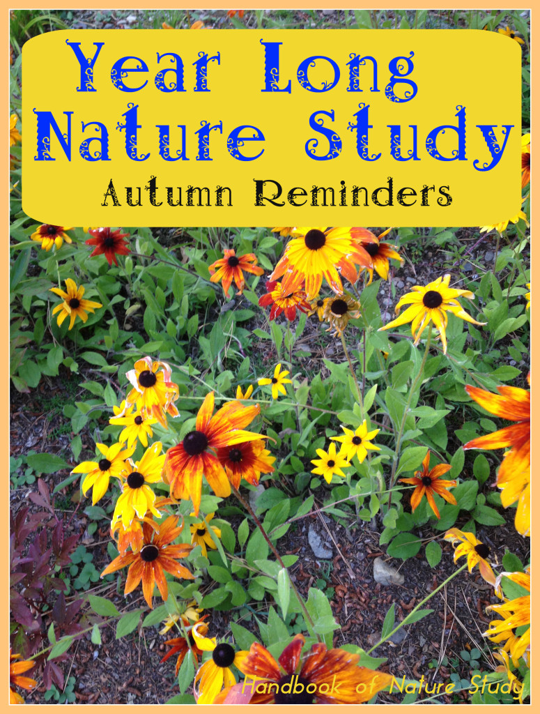 Year Long Nature Study Autumn Reminders @handbookofnaturestudy