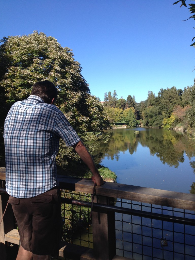 Davis Arboretum Oct 2014 (18)