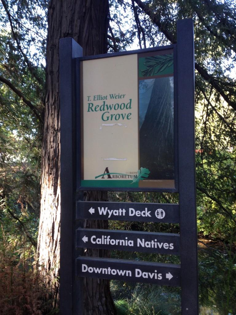 Davis Arboretum Oct 2014 (8)